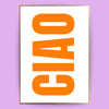 CIAO Poster - LostPrint